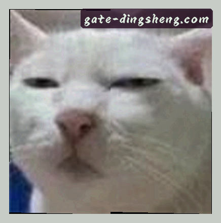 吴刚